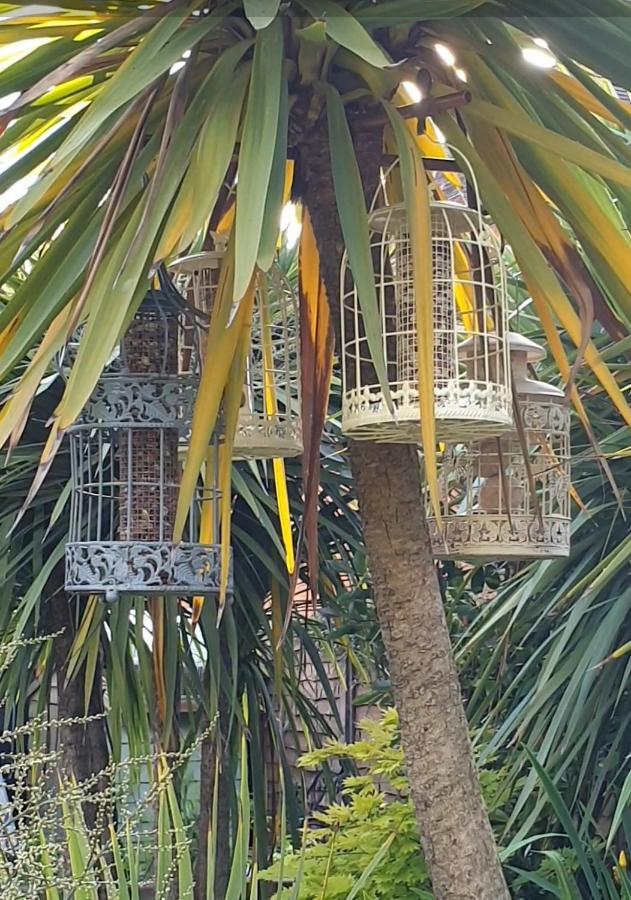 Tropical Garden Oasis Rooms Birmingham Exteriér fotografie