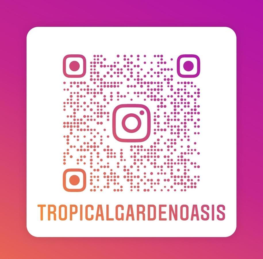 Tropical Garden Oasis Rooms Birmingham Exteriér fotografie